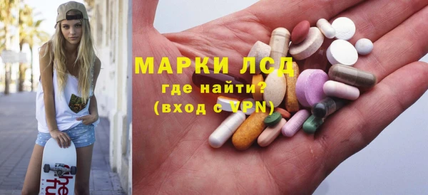 ECSTASY Богородицк